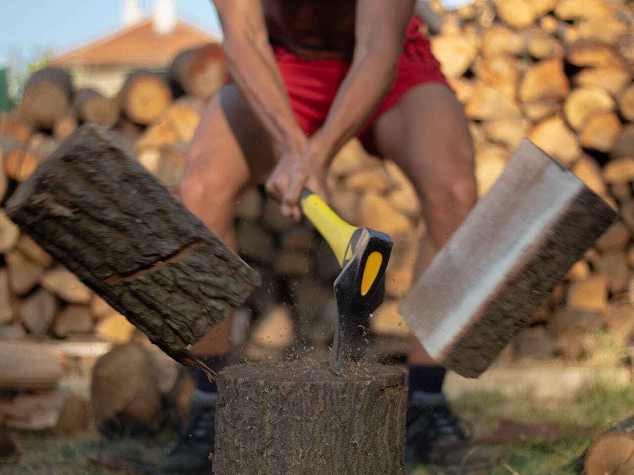 Best Palm Tree Trimming  in Orchard Hills, PA